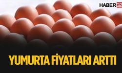 Yumurta Fiyatları Yeniden Yükseldi