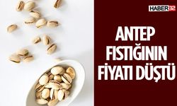 Antep Fıstığı Üreticileri Fiyatların düştüğünü Açıkladı