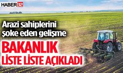 Listeler askıya çıktı: Arazileriniz kiraya verilmiş olabilir