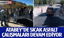 Atabey’de sıcak asfalt çalışmaları devam ediyor