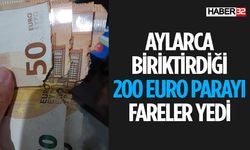 Biriktirdiği Parayı Fareler Yedi