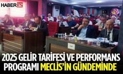 2025 gelir tarifesi ve performans programı Meclis’in gündeminde