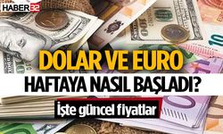 Dolar ve Euro Yeni Haftaya Nasıl Başladı? İşte rakamlar