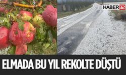 Isparta Elmasında Bu Yıl Rekolte Düşüklüğü