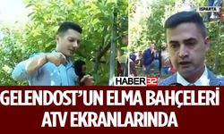 Gelendost’ta Elmaları ATV Ekranlarında