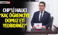 CHP’li Halıcı ‘Kaç öğrenciye domuz eti yedirdiniz?’