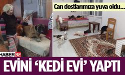 Fethiye’deki evini satıp Isparta'dan aldığı evi ‘kedi evi’ yaptı