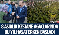 Isparta'da Kestane Sezonu Başladı!