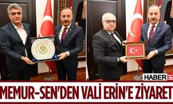 Memur-Sen'den Vali Erin'e ziyaret