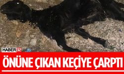 Isparta'da Gece Yarısı Kaza Keçilere Çarptı