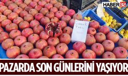 Son Demlerini Yaşayan Nara Yoğun İlgi