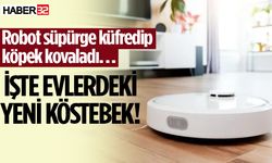 Robot süpürge küfredip köpek kovaladı…