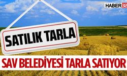 Sav Belediyesi Tarla Satıyor