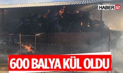 600 Saman Balyası Yanarak Kül Oldu