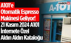 A101 İnternete Özel Aldın Aldın Kataloğu