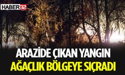 Arazide Yangın Çıktı: Ekipler Müdahale Ediyor