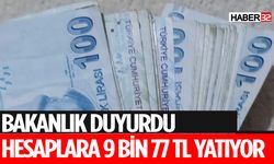 9077 TL Destek Yarın Yatıyor