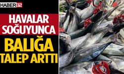 Isparta’da Havalar Soğuyunca Balığa Talep Arttı