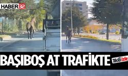 Isparta'da Trafikte Başıboş At Şaşkınlık Yarattı