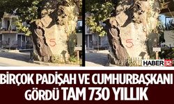 Isparta'da Birçok Padişah Gören 730 Yıllık Ağaç