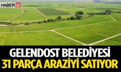 Gelendost Belediyesi 31 parça araziyi satıyor