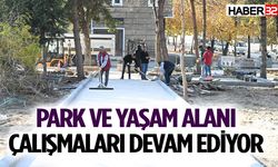 Park ve yaşam alanı çalışmaları devam ediyor