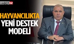 Hayvancılıkta Yeni Destek Modeli