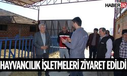 Tarım İl Müdürü Hayvancılık İşletmelerini Ziyaret Etti