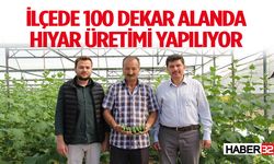 İlçede 100 dekar alanda hıyar üretimi yapılıyor