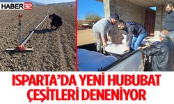 Isparta’da Yeni Hububat Çeşitleri Deneniyor