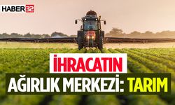 İhracatın ağırlık merkezi tarım