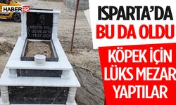 Ölen Köpeği İçin Lüks Mezarlık Yaptırdı