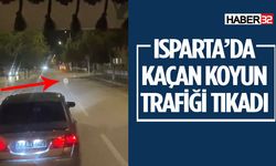 Isparta'da Kaçan Koyun Trafiği Tıkadı