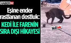 Isparta’da eşine ender rastlanan dostluk, görenleri şaşırttı