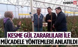 Kesme Gül Üretimi Alanlar Ziyaret Edildi