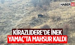 Isparta Kirazlıtepe’de İnek Yamaçta Mahsur Kaldı