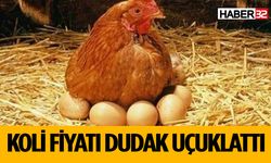 Yumurta Fiyatları Rekor Kırdı Kolisi 330 TL'ye Satılıyor