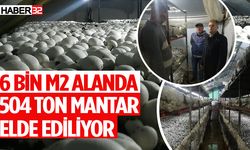 Isparta’da kültür mantarı üretimi devam ediyor