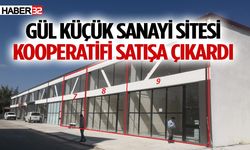 Sanayide 5 adet dükkan, idari bina ve arsası satışa çıkarıldı