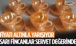 Eskiden Herkesin Evinde Vardı Fiyatı Altınla Yarışıyor