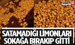 Satamadığı Limonları Bırakıp Gitti