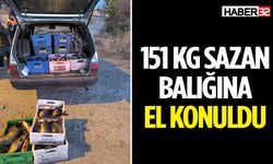 151 kg sazan balığına el konuldu