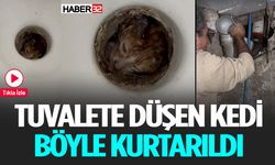 Alaturka Tuvalete Düşen Yavru Kedi Böyle Kurtarıldı