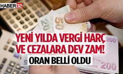 Yeni yılda vergi harç ve cezalara dev zam!