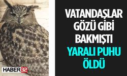 Eğirdir’de Bulunan Yaralı Puhu Kuşu Hayata Tutunamadı