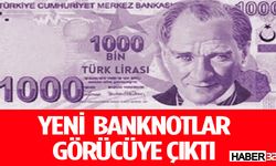 Yeni 500 TL ve 1000 TL Görücüye Çıkarıldı