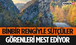 Doğaseverler Sütçüler'e Akın Ediyor