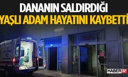 Ahırda Dana Saldırdı Hayatını Kaybetti