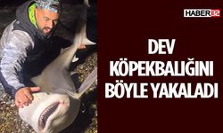 Köpekbalığı Yakaladı, Tekrar Denize Bıraktı