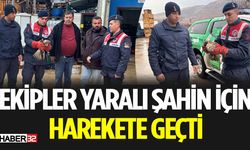 Haydi Timi Yaralı Şahin İçin Harekete Geçti